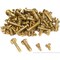 100 Clock Bell Case Screws Brass Clockmaker Tool Parts